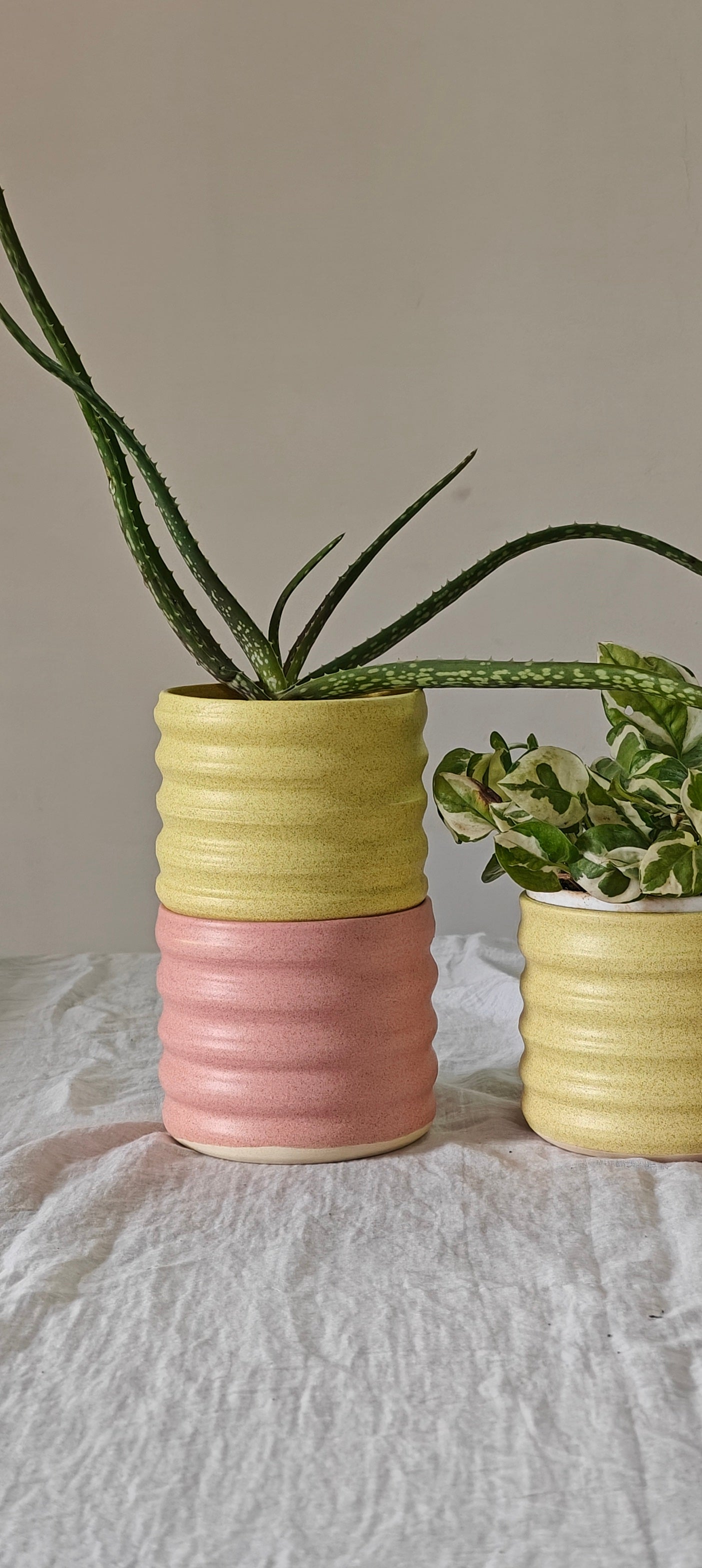Yellow Planter